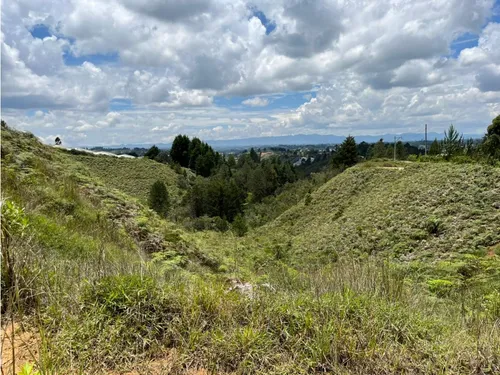 Rhbr-14483 (lote) (guarne)