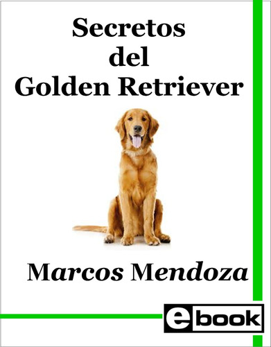 Golden Retriever Libro Adiestramiento Canino Cachorro Adulto