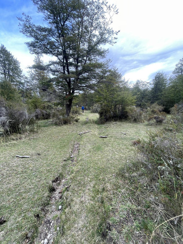 Campo En Rio Pico
