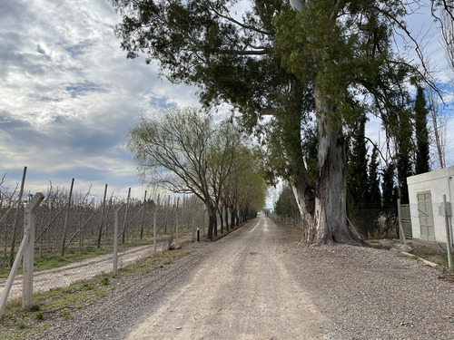 Lote En Venta Barrio Las Patricias, General Roca, Río Negro