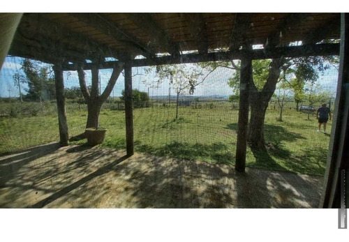 Imagen 2 de 23 de Chacra 8 Ha En San Carlos, Punta Del Este Zona Corte De La Leña Cañada Bellaca