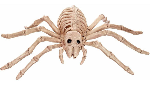 Adorno Esqueleto De Araña Skeleton Decorativa Halloween