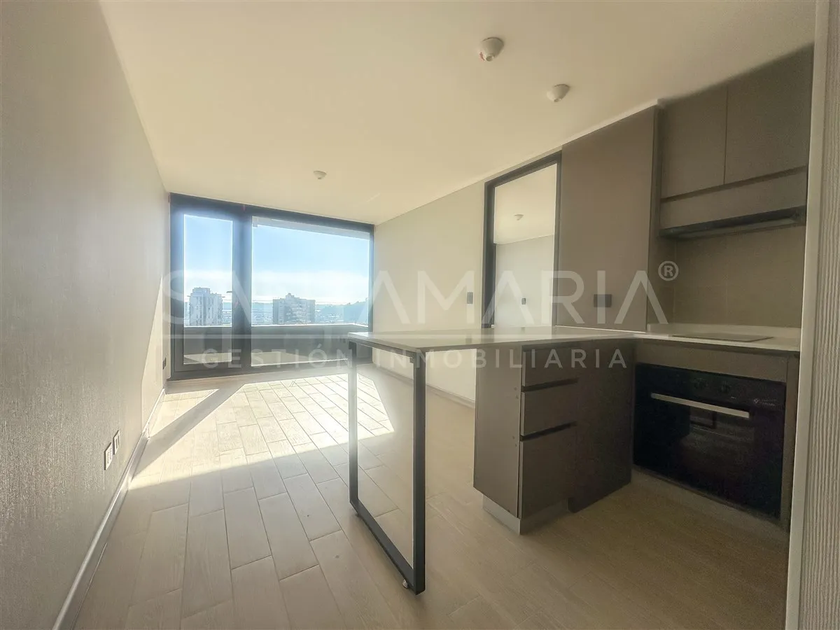 Imagen 3 de 19 de Departamento En Arriendo 1 Dorm. En Rozas, Concepción Centro
