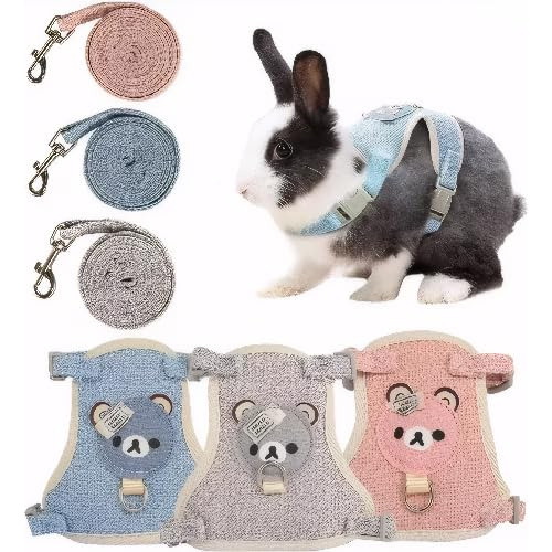 Conjunto De Collar Y Correa For Mascotas Pequeñas, Arnés
