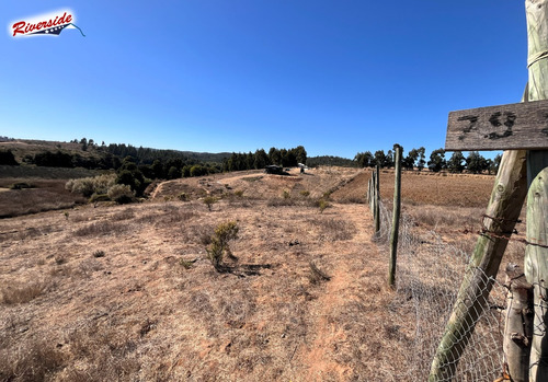 Parcela Con Vista Panorámica, Entre Paredones Y Bucalemu