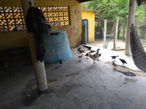 Imagem 13 de 30 de Sitio No Juquiá - St00024