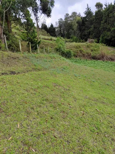 Espectaculares Lotes En Guarne