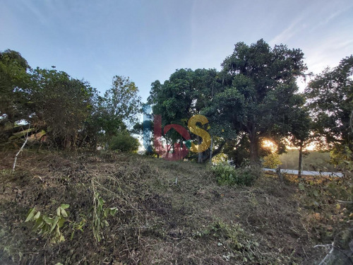 Imagem 4 de 5 de Vendo Terreno Com 3600m² No Bairro São Judas - 4625