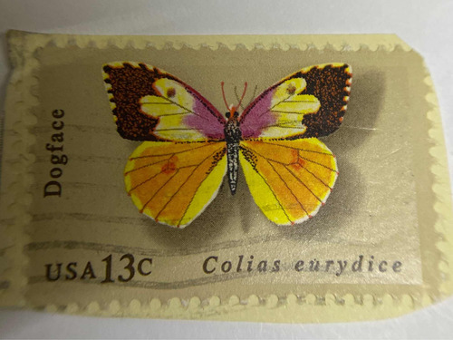Sello Postal Usa Mariposa Colias Eurydice 1977