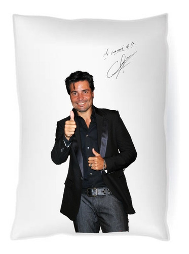 Cojín Chayanne Decoración 