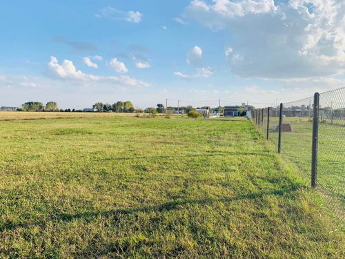 Lote - Estancia Las Moras - Ricardone - Todos Los Servicios