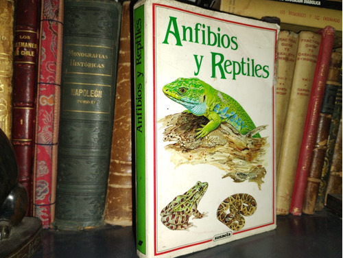 Anfibios Y Reptiles - Vaclav Lanka, 1990/ Tapa Dura 