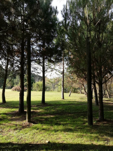 Quinta Alquiler Temporario Zona Sur Cerca De Ruta 2 Por Día!!!