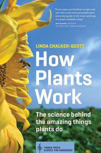 How Plants Work: The Science Behind The Amazing Things Plant