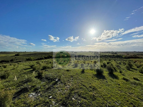 Campo En Venta De 53 Has. Con Vivienda Y Arroyo, Prox Minas