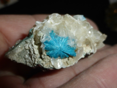 Mineral De Colección Cavansita En Matriz De India