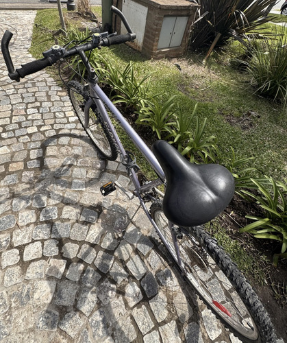 Bicicleta Fiorenza Forest Cl Shimano 6 Cambios R26 Gris (Usado)