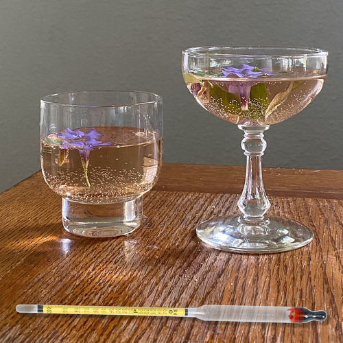 Hidrómetro De Alcohol De 0 A 200 Grados Y Precisión De Alcoh