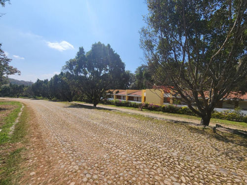 Venta Lote San Diego 9 Justo A La Entrada Del Fracc Con Vista A Las Amenidades Y Frente Al Hotel Con Proyecto Inlcluído En Fracc Rancho San Diego Ixtapan De La Sal Edomex