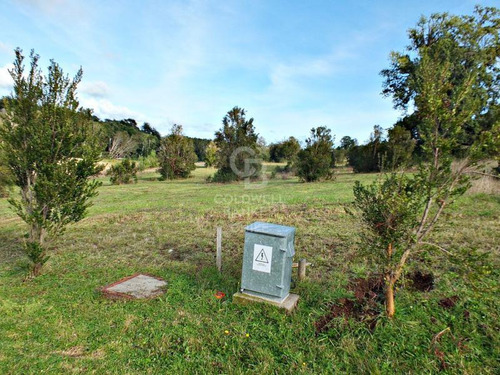 Condominio Consolidado | Acceso Al Lago Llanquihue