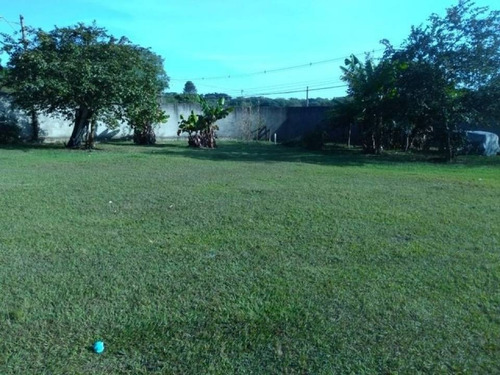 Imagem 7 de 18 de Venda - Chácara - Santa Rita - Piracicaba - Sp - Mg663349