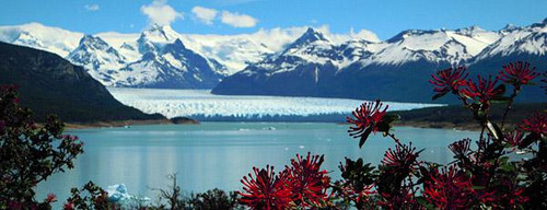 Terreno 1,5 Ha - El Calafate - Santa Cruz