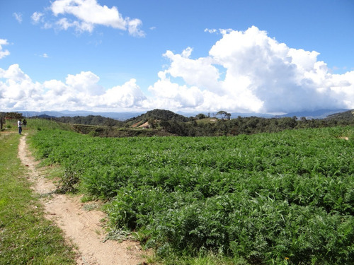 Imagen 12 de 30 de Finca En Venta En Santuario Antioquia Hsz4