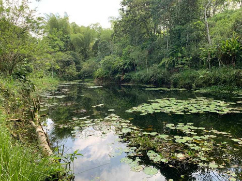  Excepcional Lote: ¡vive La Naturaleza Con Lago, Quebrada Y Vistas Gra