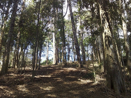 Imagem 1 de 3 de Lote Área Nobre Santo Antônio Do Pinhal - Sp - Condomínio Portal Da Mantiqueira - Lt-11105