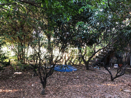 Imagem 2 de 14 de Lote A Venda Em Igarapé Bairro Jardim Colonial - Te0224