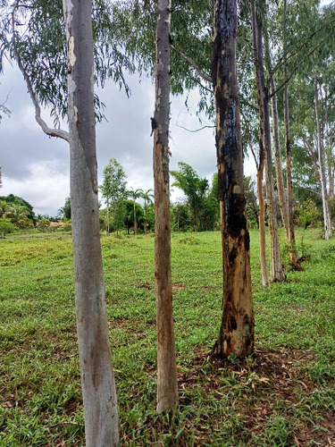 Chácara Em Área Rural Com 3.500 Metros Quadrados.