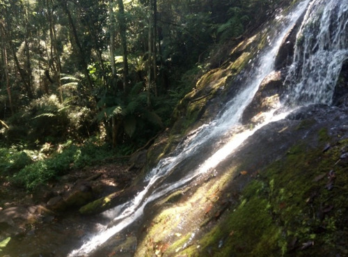 Imagem 20 de 29 de Vendo Terreno 260.000m² Ou 26,1ha Em Guapiara Sp Opções: Plantio, Criação De Gado, Turismo E Outros