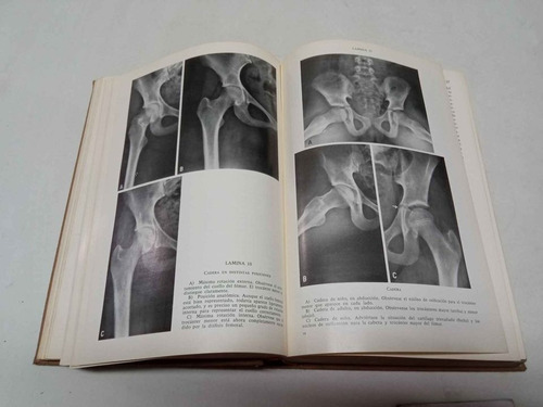 Libro De Anatomía, Estudio Por Regiones Del Cuerpo Humano (Usado)
