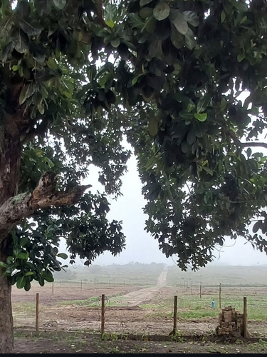 Sitio Com 9.3 Hectares Com Irrigação, Muita Água.