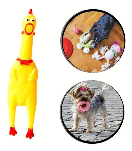 Imagem 3 de 6 de Brinquedo Para Caes Frango Galinha Sonora Cachorro Pet