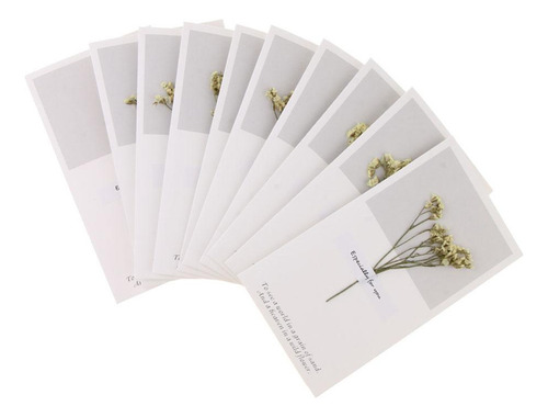 Paquete Flores Secas Tarjetas De Felicitación Amarillo