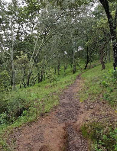 Terreno Para Rancho Amealco, Queretaro Sup. 68,889 Mts