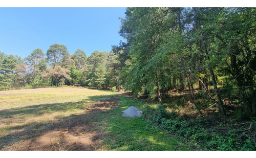 Proyecto Nuevo En Venta, Amento