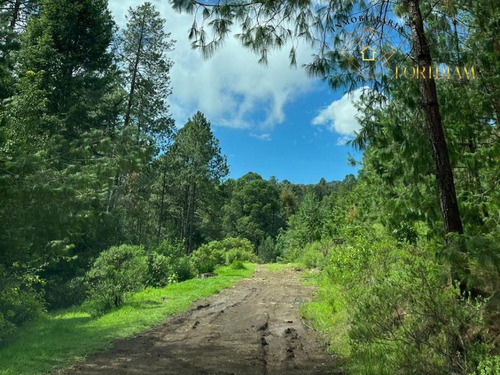 Rancho En Rancho O Rancheria Tres Cañadas