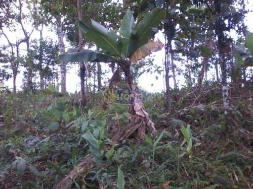 Imagem 3 de 8 de Terreno No Royal Parque - 6153
