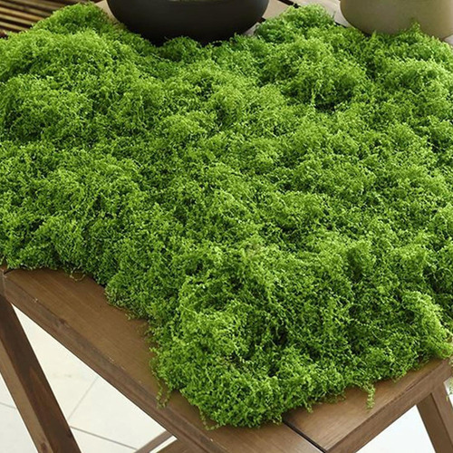 Musgo Artesanal Falso De Musgo Verde, Artificial Plant