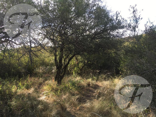 Imagen 3 de 4 de La Población (cba) I Terreno 6.000 M2