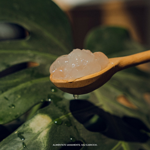 Pulpa De Sábila 900g Natural Y Refrescante Pacalli