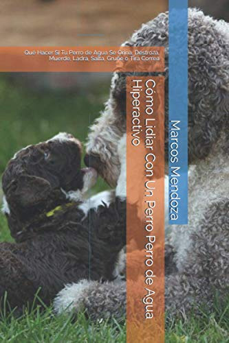Como Lidiar Con Un Perro Perro De Agua Hiperactivo: Que Hace
