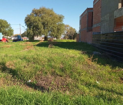 Lote En Venta Barrio San Carlos, En Esquina