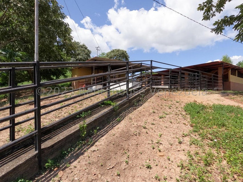Carlos Colmenarez Vende Finca 28hec (todas Empastadas) Cercas Perimetrales 02 Cochineras; 01 Cochinera Para 150 Madres Y Capacidad De 800 Animales De Engorde 01 Cochinera Con Capacidad De 400 Animale