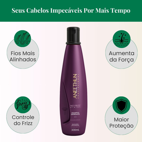 Shampoo No Frizz System Controle Volume Aneethun