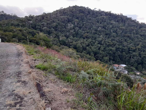 Imagem 4 de 5 de Terreno Para Venda Em Teresópolis, Vale Feliz - Tr954_2-1196379