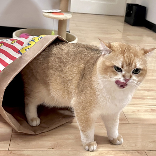 Bolsa De Juego Para Gatos Con Bolsa Arrugada Para Mascotas,