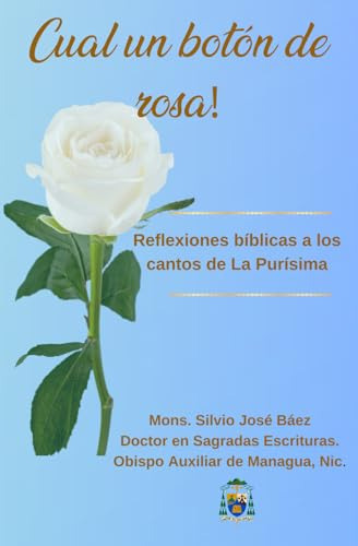 Libro : Cual Un Boton De Rosa - Baez, Mons. Silvio Jose